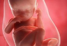 اين يجب ان يكون راس الجنين في الشهر السابع